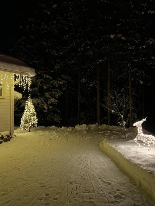 Arctic Circle Guesthouse 로바니에미 외부 사진